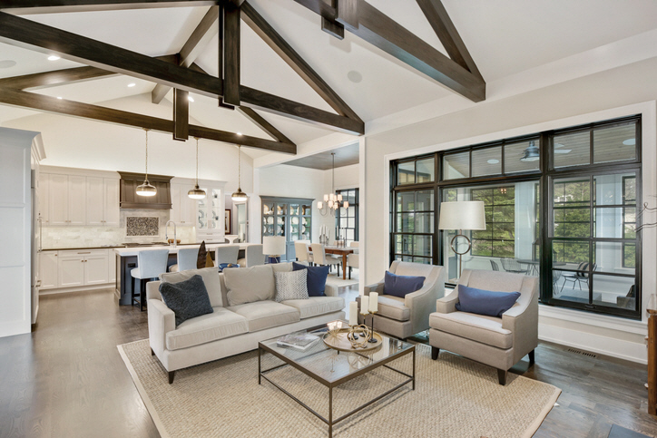 Cozy Living Room and Kitchen